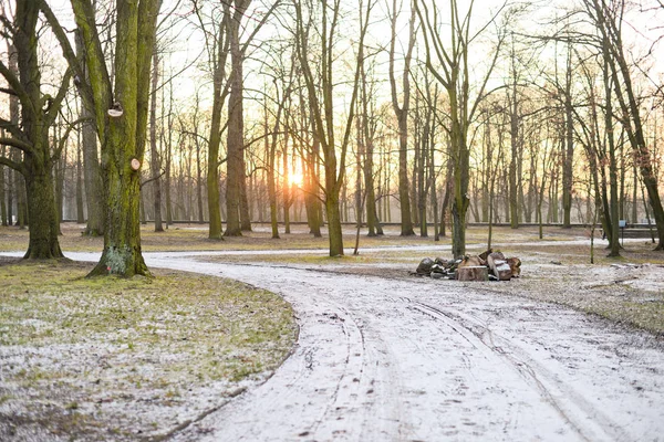 Pôr do sol em um parque de inverno — Fotografia de Stock