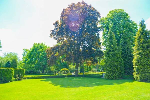 Herbst Palace Garden Lodži Polsko — Stock fotografie