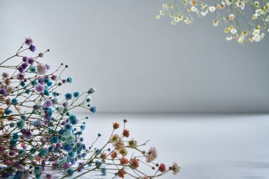 Gri arka planda narin gölgeli doğal çiçek tomurcukları.