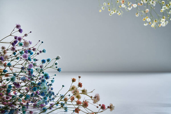 Sprigs of natural flowers in delicate shades on a gray background