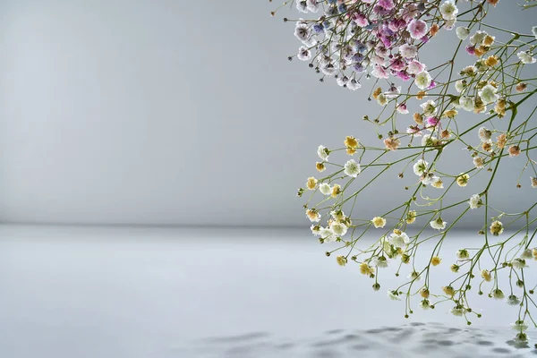 Skott Naturliga Blommor Känsliga Nyanser Grå Bakgrund — Stockfoto