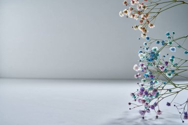 Gri arka planda narin gölgeli doğal çiçek tomurcukları.