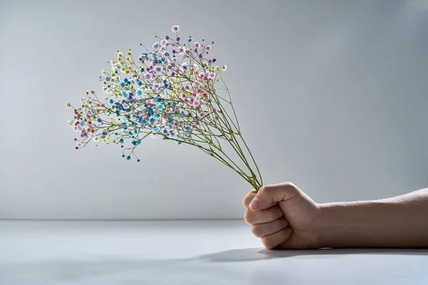 Mão Com Ramo Delicadas Flores Frescas Fundo Cinza — Fotografia de Stock