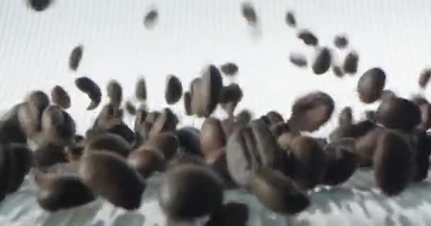 焙煎したコーヒー豆は 光の背景にさまざまな方向に落ちて転がります — ストック動画