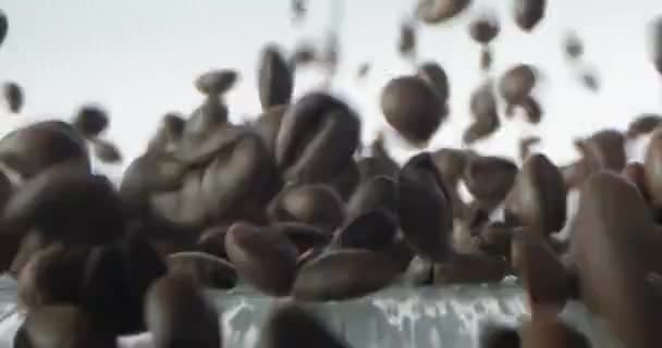 Geröstete Kaffeebohnen Fallen Und Rollen Auf Hellem Hintergrund Verschiedene Richtungen — Stockvideo