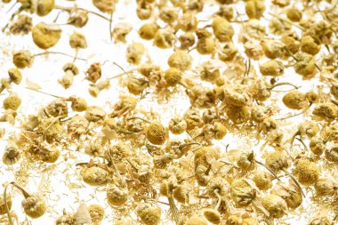 Eczacı papatyasının kuru çiçekleri beyaz arka planda serpilmiştir.