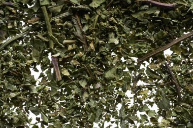 Beyaz arka planda seçkin yeşil çay serpintisi