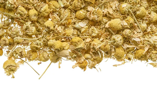 Dry Flowers Pharmaceutical Chamomile Scattered White Background — Stock Photo, Image