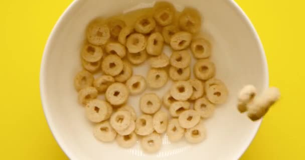 Ringletes Dorados Deliciosos Cereales Desayuno Caen Una Taza Blanca Sobre — Vídeo de stock