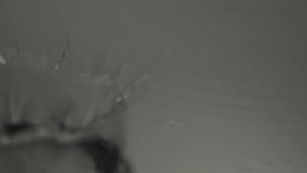滴在潮湿表面上的水滴 — 图库视频影像