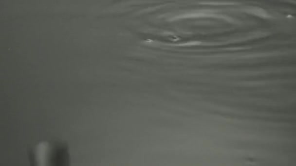 Wassertropfen Tropfen Auf Eine Feuchte Oberfläche — Stockvideo