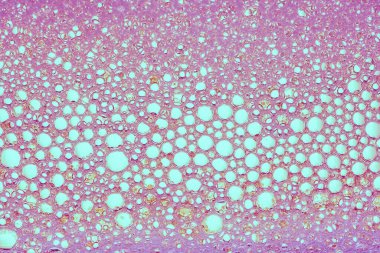 Kırmızı sabun köpüğünün dokusu