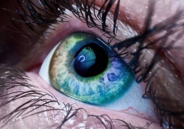 Göz renkleri çok renkli, makro çerçeve..
