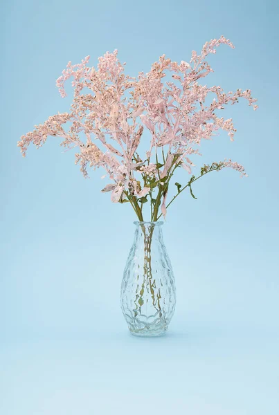 Flores Rosa Delicadas Vaso Vidro Fundo Azul — Fotografia de Stock