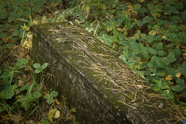 Gravestone on ancient russian graveyard — Stock Photo, Image