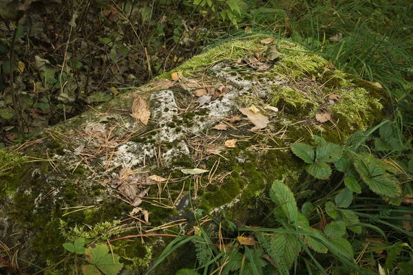 Pierre tombale sur l'ancien cimetière russe — Photo