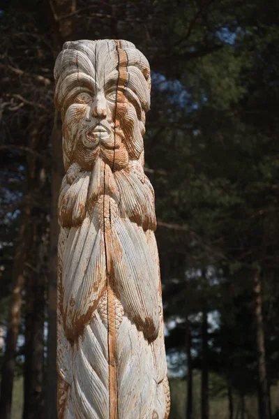 Wooden statue of the idol. — Stock Photo, Image