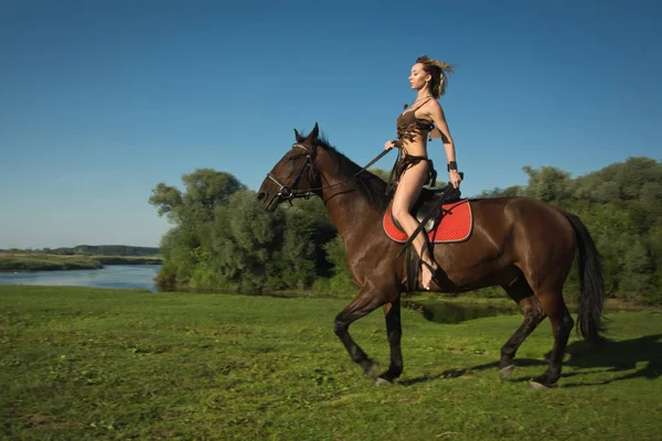 Wilde Amazone meisje op paard — Stockfoto