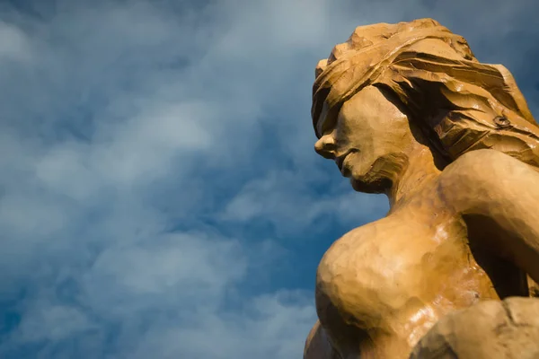 Estátua de madeira do ídolo . — Fotografia de Stock