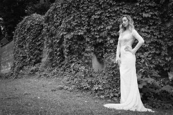 Hermosa novia en un vestido largo blanco —  Fotos de Stock
