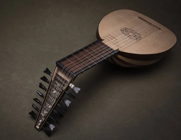 Lute of the 16th century — Stock Photo, Image