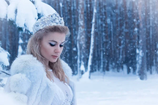 Rainha da neve — Fotografia de Stock