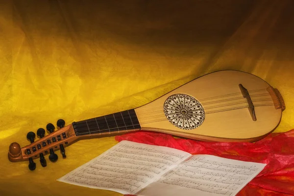 Ortaçağ Giteriyle Müzikal Hayat — Stok fotoğraf