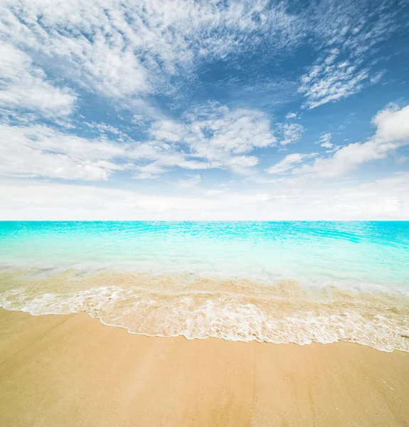 Sol og øy strand – stockfoto