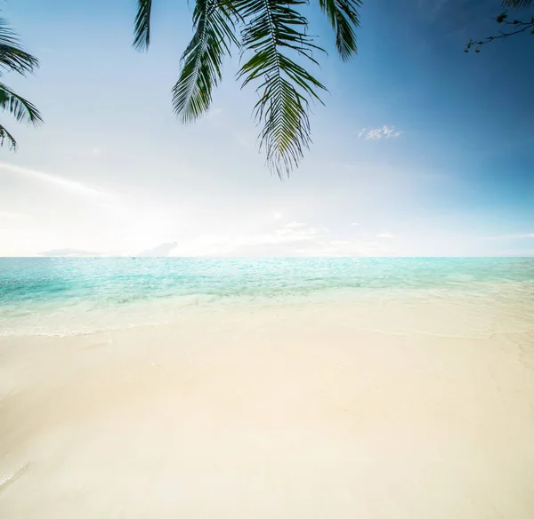 Klar himmel och ö stranden — Stockfoto