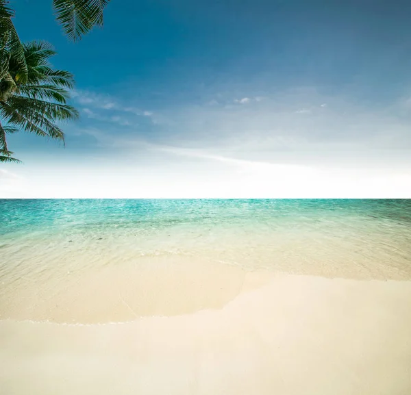 Тропический пляж и океан — стоковое фото