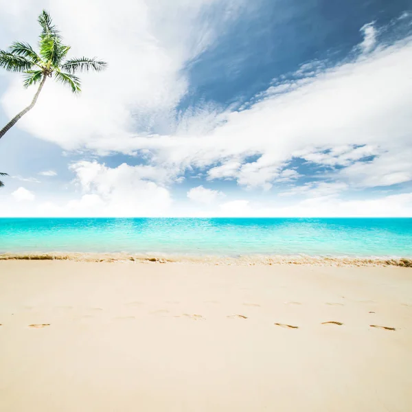 Idyllisk strand bakgrund — Stockfoto