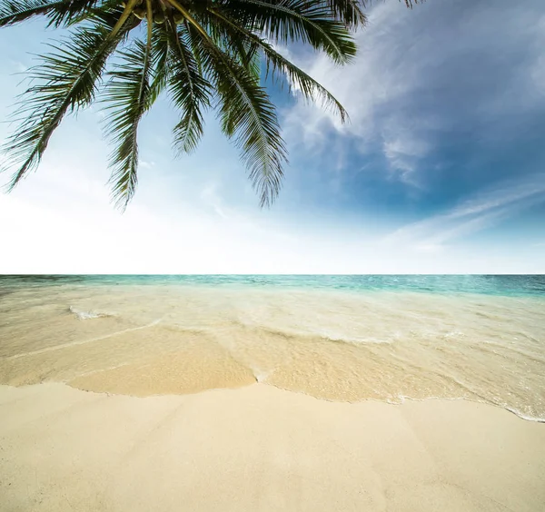 Tropiska havet bakgrund — Stockfoto