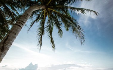 Avuç içi altında tropik gündoğumu