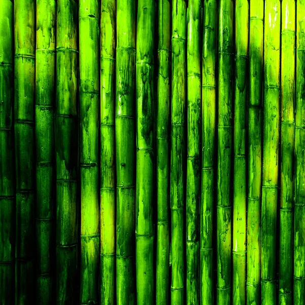 Bambusové kůry pozadí — Stock fotografie