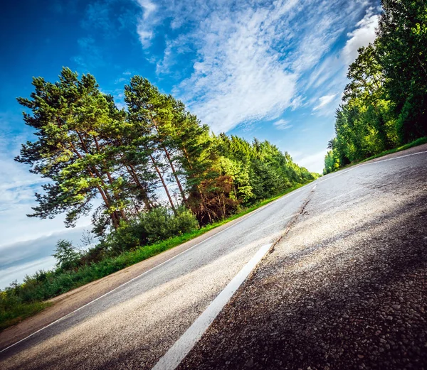 Salida del sol hermoso camino en el bosque — Foto de Stock