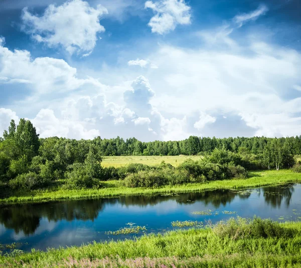 Vacker park bakgrund — Stockfoto