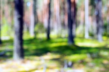 Yaz görüntü arka planı