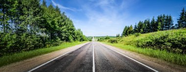 Ormandaki güzel yol panorama