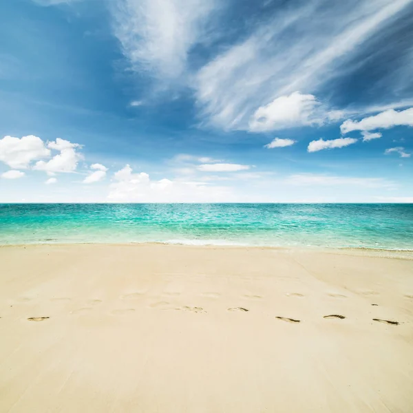 Playa tropical y océano — Foto de Stock