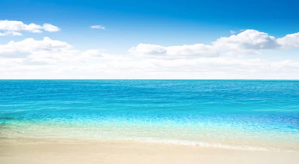 Tropisk sommerbakgrunn på stranden – stockfoto