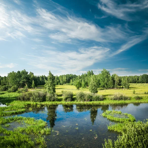 Panorama des forêts et des champs — Photo