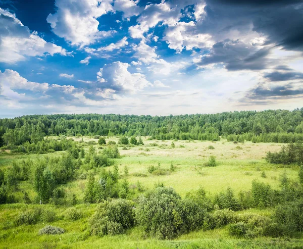 Sommerfeld und Waldlandschaft — Stockfoto