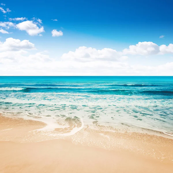 Playa del paraíso tropical — Foto de Stock