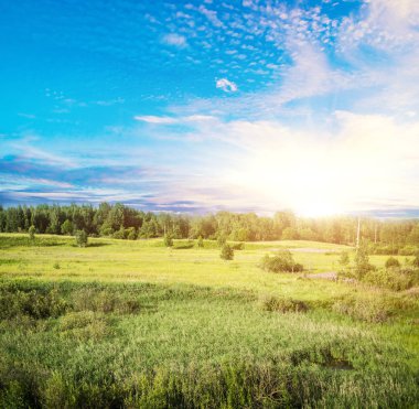 Sonbahar orman akşam