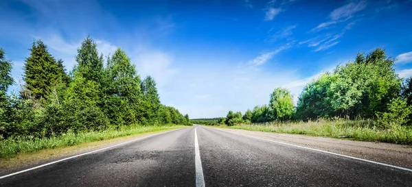 Ormandaki güzel yol panorama