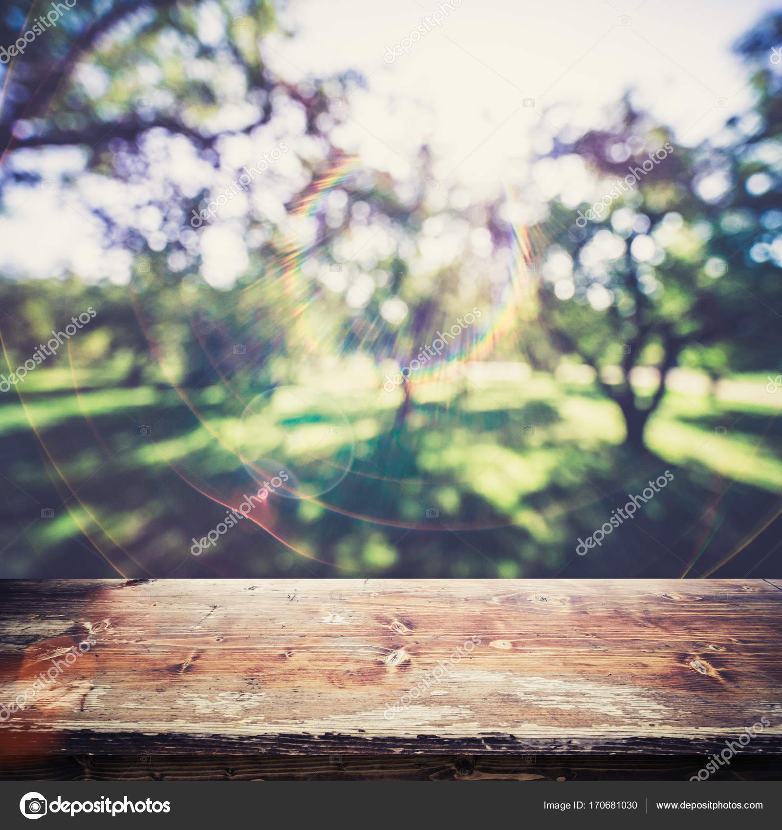 Forest Blur Stok Foto