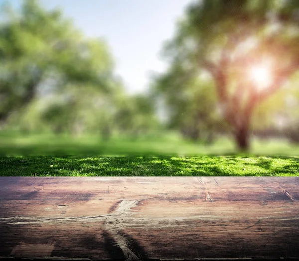 Park oskärpa bakgrund — Stockfoto