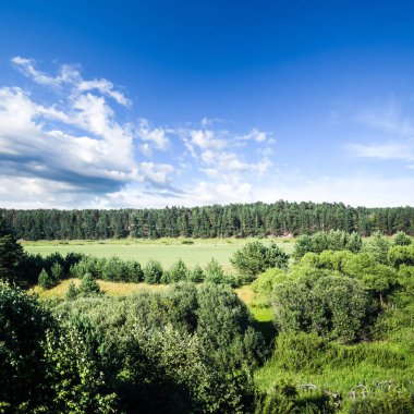 Sonbahar akşam çayır ve orman