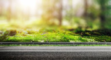 Orman. Vahşi bitkiler ve ağaçlar