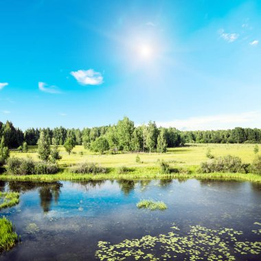 Güzel bir akşam çayır